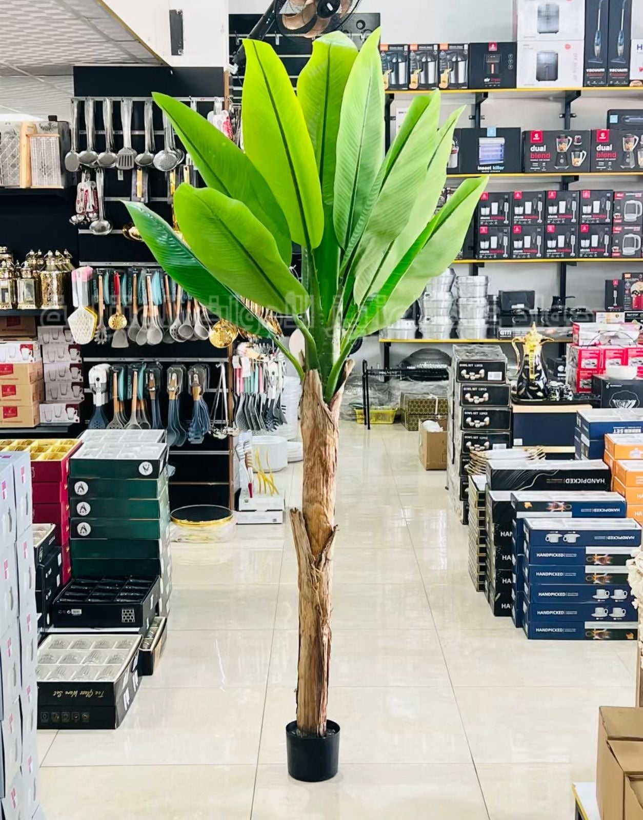 شجرة موز ديكور