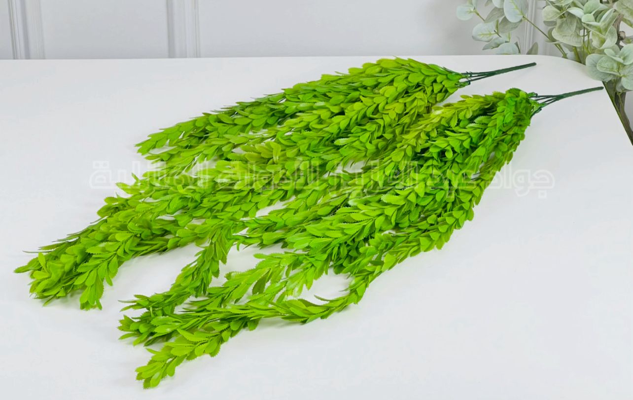 عرق ديكور