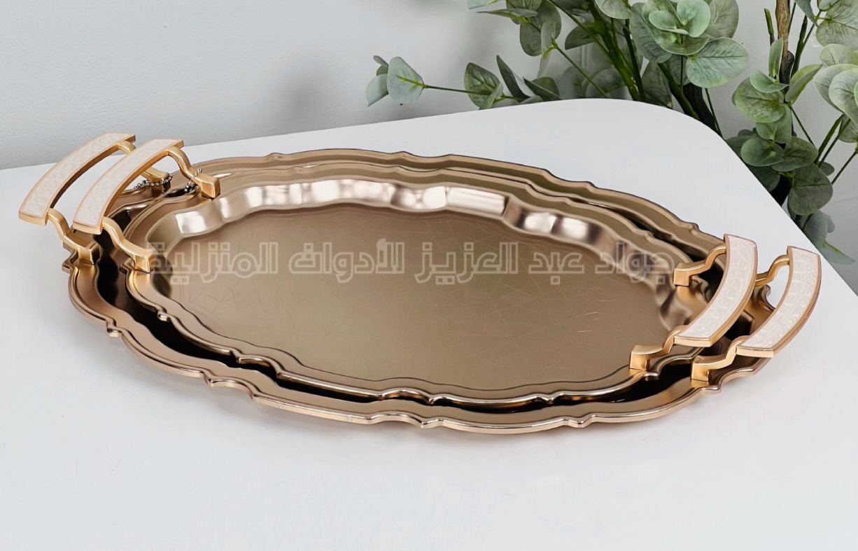 صواني ستانلس