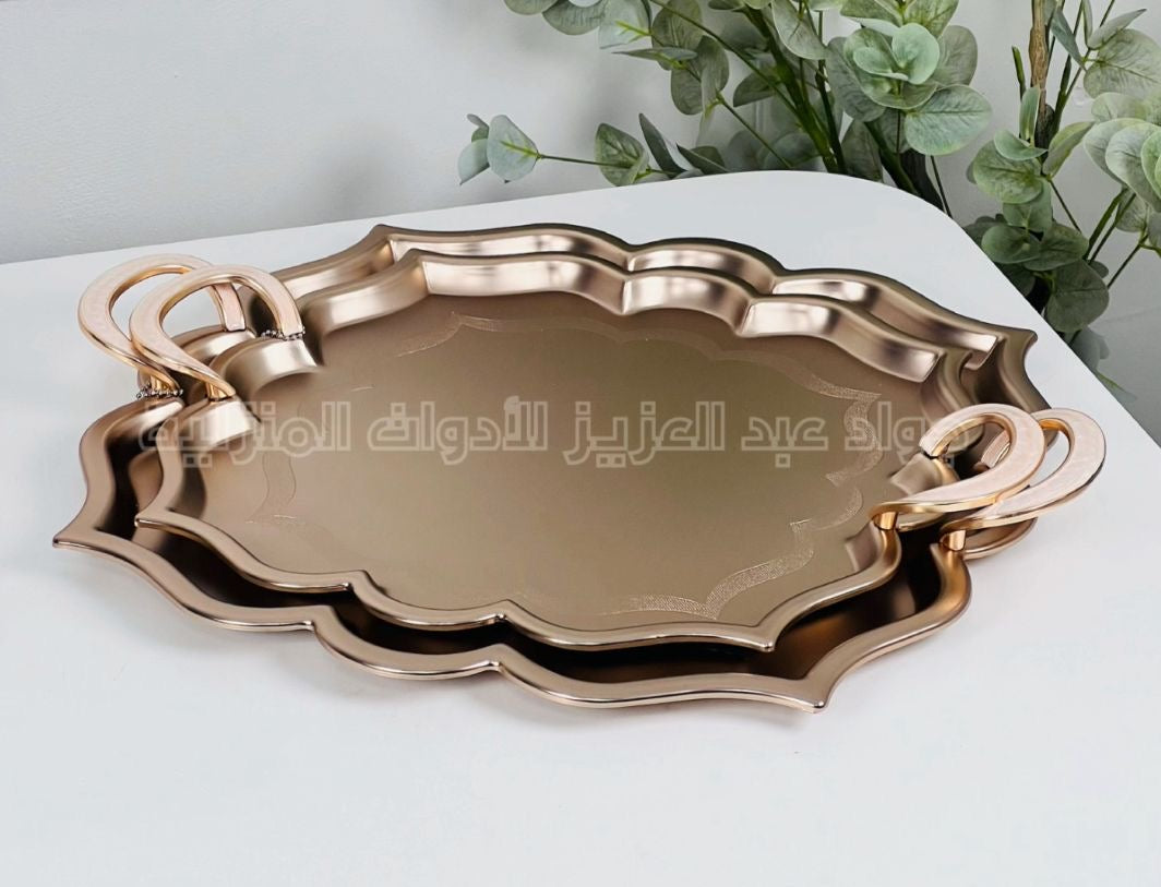 صواني ستانلس