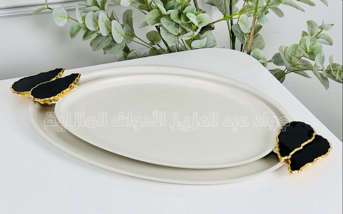 صواني ستانلس
