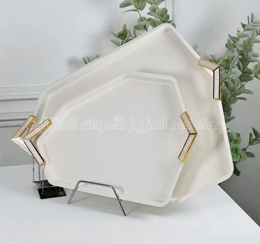 صواني ستانلس