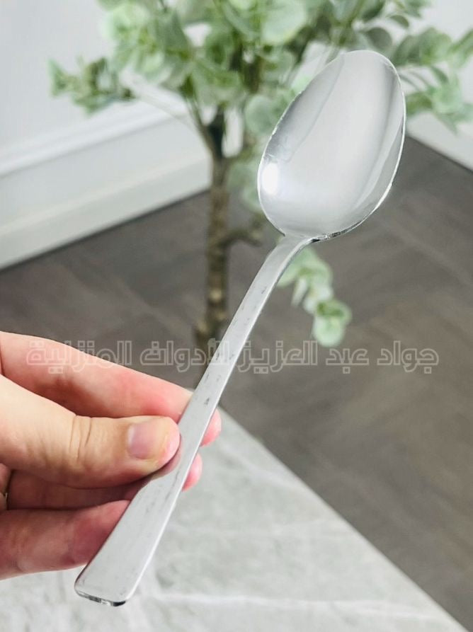 طقم معالق اكل ستانلس