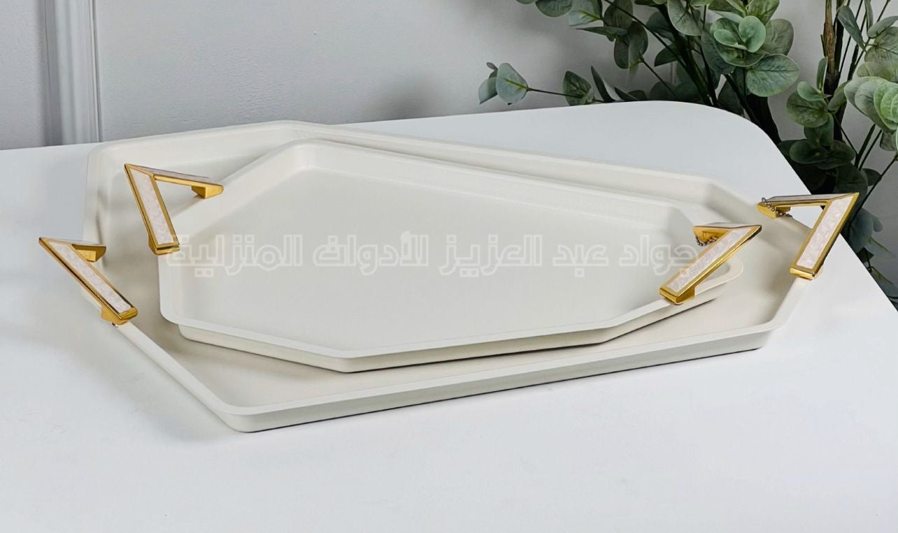 صواني ستانلس